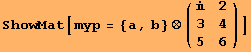 ShowMat[myp = {a, b} ⊗ ({{, 2}, {3, 4}, {5, 6}})]