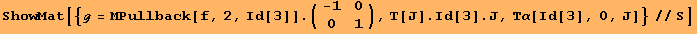 ShowMat[{ℊ = ΜPullback[f, 2, Id[3]] . ({{-1, 0}, {0, 1}}), T[J] . Id[3] . J, Τα[Id[3], 0, J]}//S]