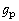 ℊ_p