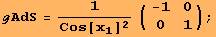 ℊAdS = 1/Cos[x_1]^2 ({{-1, 0}, {0, 1}}) ;