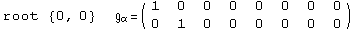 root  {0, 0}            =  ( {{1, 0, 0, 0, 0, 0, 0, 0}, {0, 1, 0, 0, 0, 0, 0, 0}} )                                   α