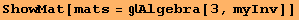 ShowMat[mats = Algebra[3, myInv]]