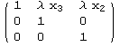 ( {{1, λ x_3, λ x_2}, {0, 1, 0}, {0, 0, 1}} )